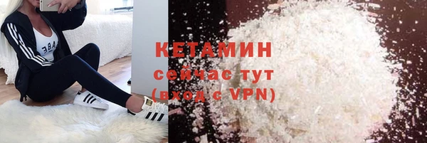 сатива Россошь